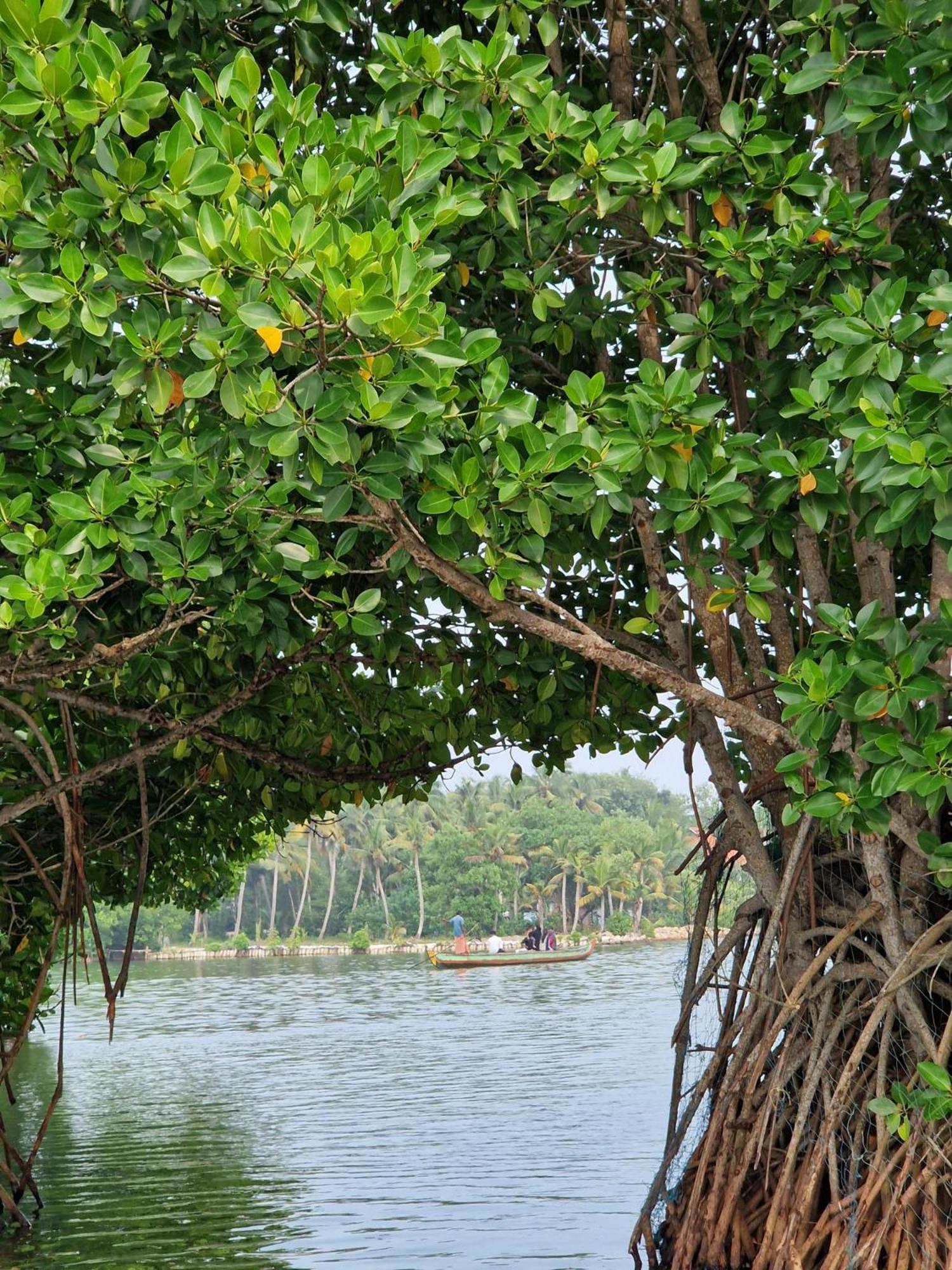 Bliss Homestay Munroe Island Mundrothuruth Extérieur photo